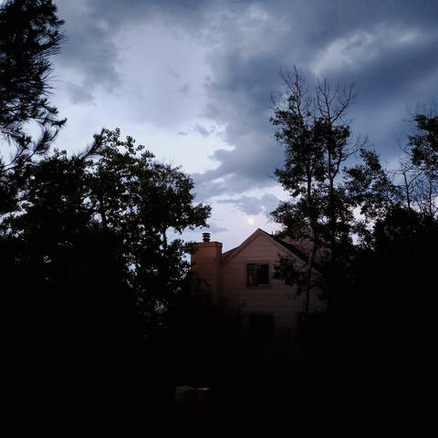 Parasomnia