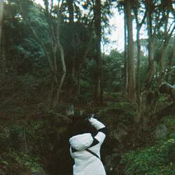 Fault