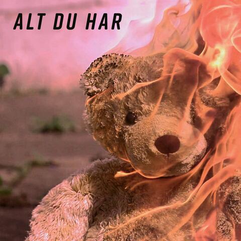 Alt Du Har (feat. Tore Pang)