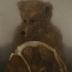 Man or Bear