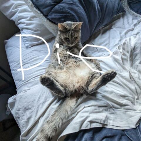 die