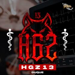 Hospital HGZ-13