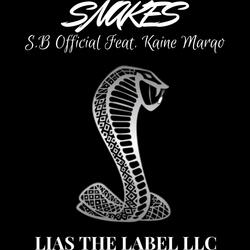Snakes (feat. Kaine Marqo)