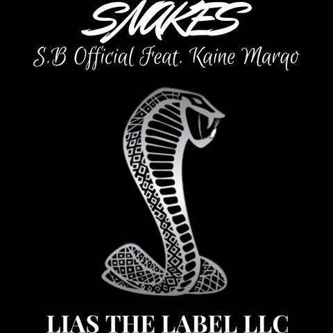 Snakes (feat. Kaine Marqo)