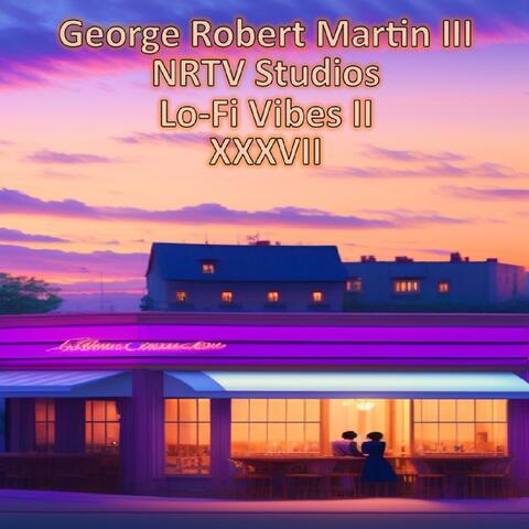 Lo-Fi Vibes II