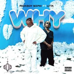 Why (feat. Lyta)
