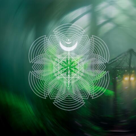 Lost Connection (Shaman Spirit)