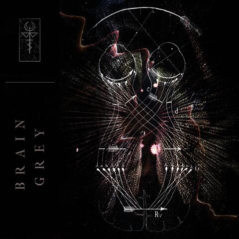 Brain Grey