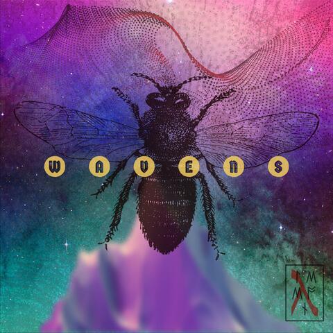 Wavens (feat. Tasneem Bolhassan & Yann)