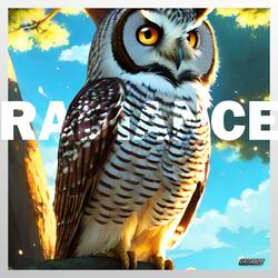 Radiance (feat. 209Apollo)