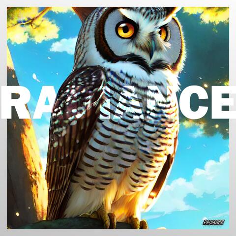Radiance (feat. 209Apollo)