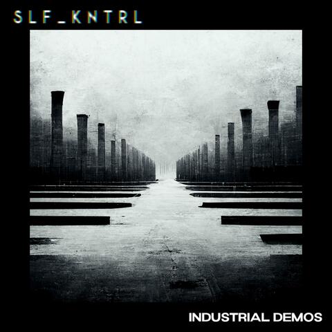 Industrial Demos