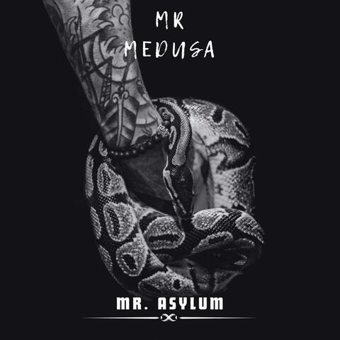 Mr. Medusa