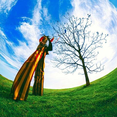 Canopy