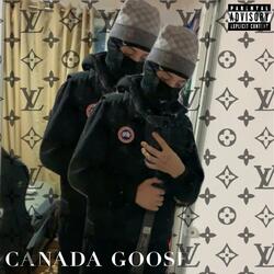 Canada Goose