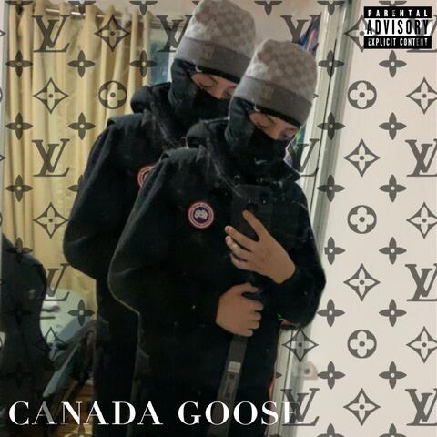 Canada Goose