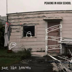Just Like Heaven