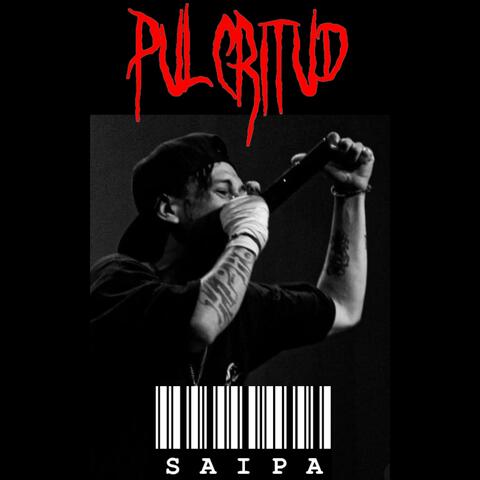 Pulcritud