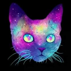 Moulaga (feat. Titou Marichal)