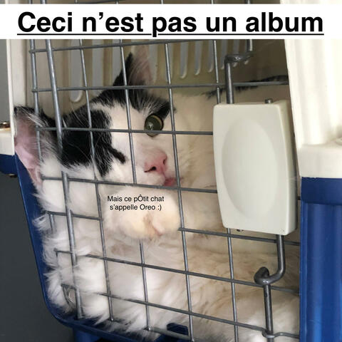 Ceci n'est pas un album