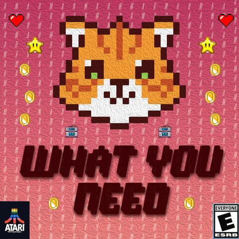 What You Need
