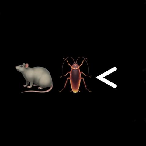 Rats and Roaches