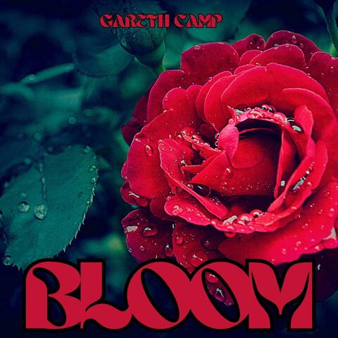 Bloom