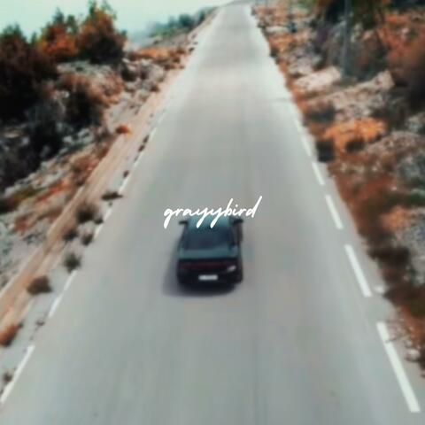Fast Car