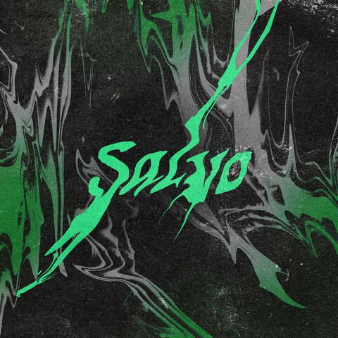 Salvo