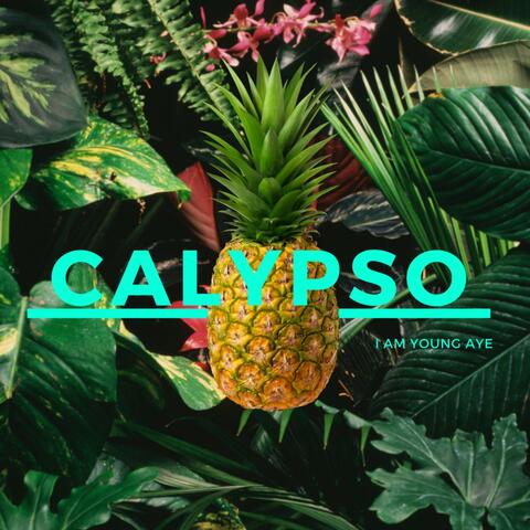Calypso