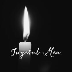 Ingerul meu