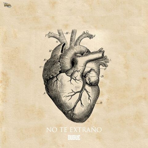 No Te Extraño