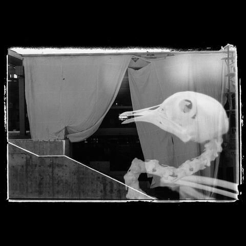 Somnambulist