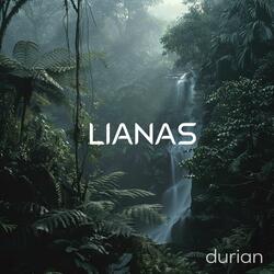 Durian (Spa)