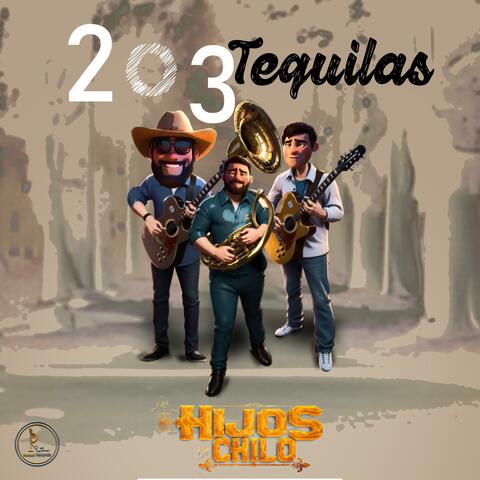 2 o 3 Tequilas