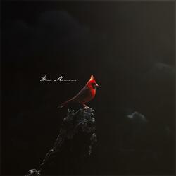 For Us (Dear Mama) (feat. Kooda, Nhamo & Veli)