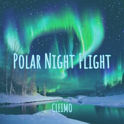 Polar Night Flight
