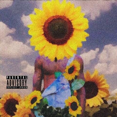 Bloom Again