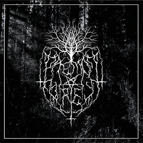 Dissonant Walk in the Myst