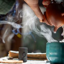 Light on the Tea Table