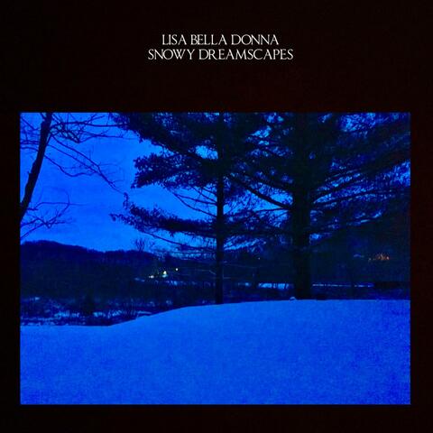Snowy Dreamscapes