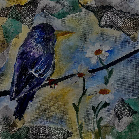 Dear Starlings