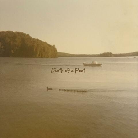 Swims
