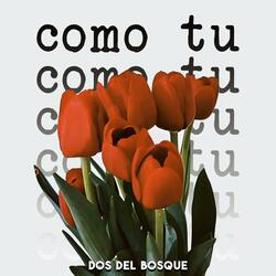 Como Tú