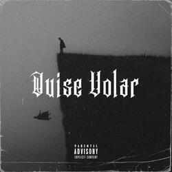 Quise volar