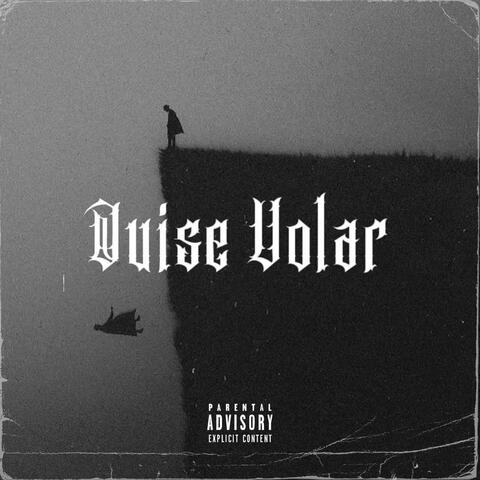 Quise volar