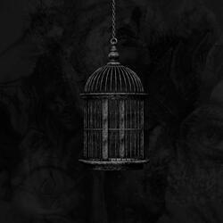 A Cage Of My Own Design