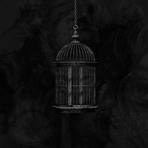A Cage Of My Own Design
