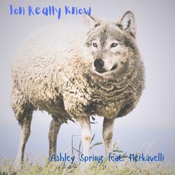ion really know (feat. Ashley Spring & Merkavelli)