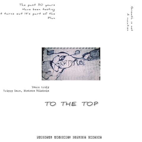 To The Top (feat. Trippy Rare)